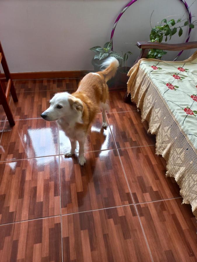 Quarto Individual Na Ary Parreiras Нитерой Экстерьер фото